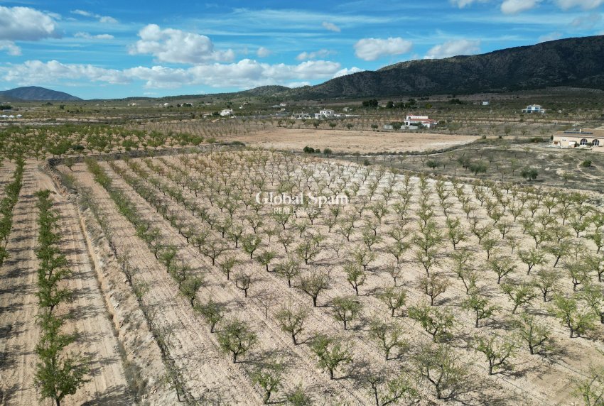 Wiederverkauf - Grond -
Pinoso