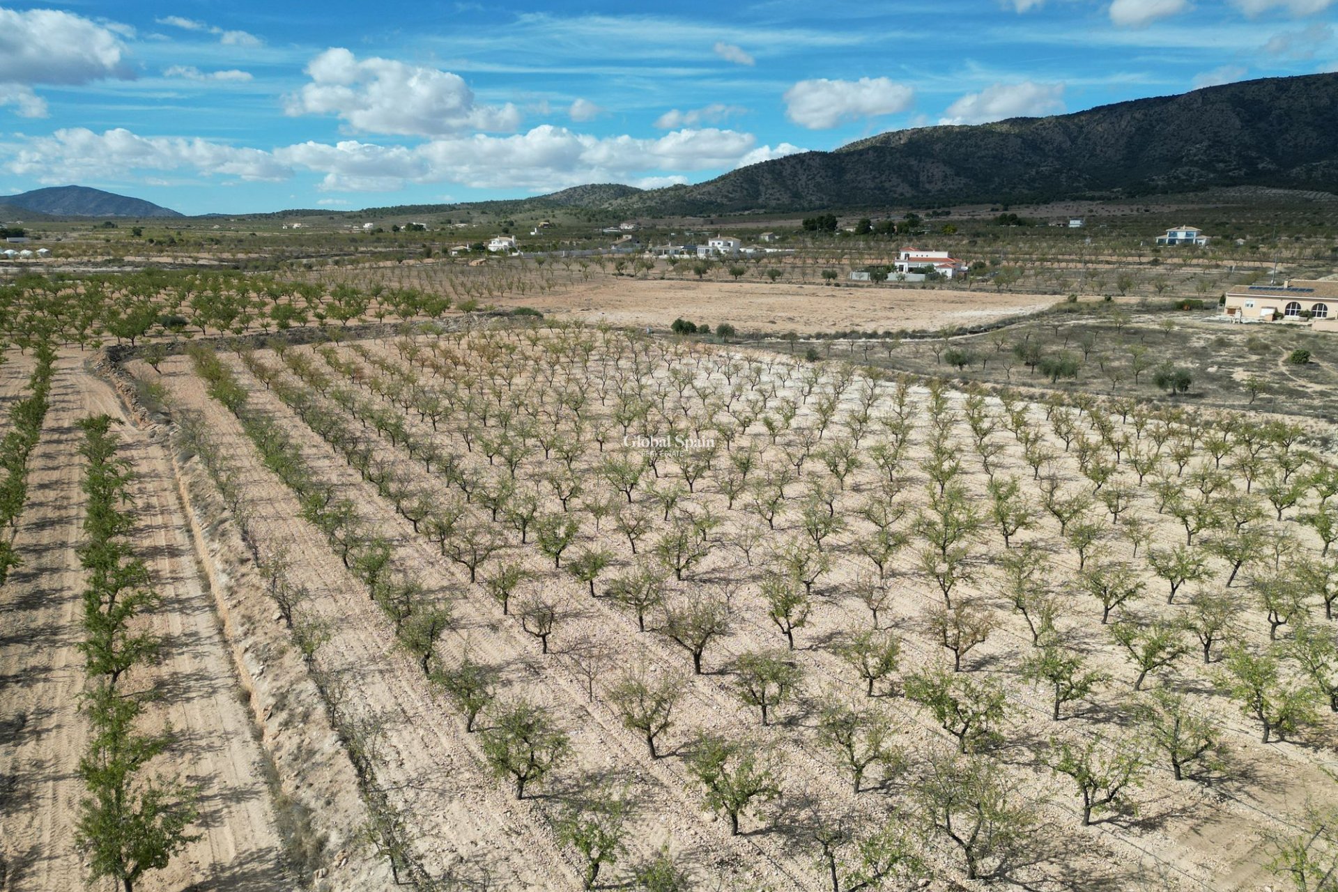 Wiederverkauf - Grond -
Pinoso