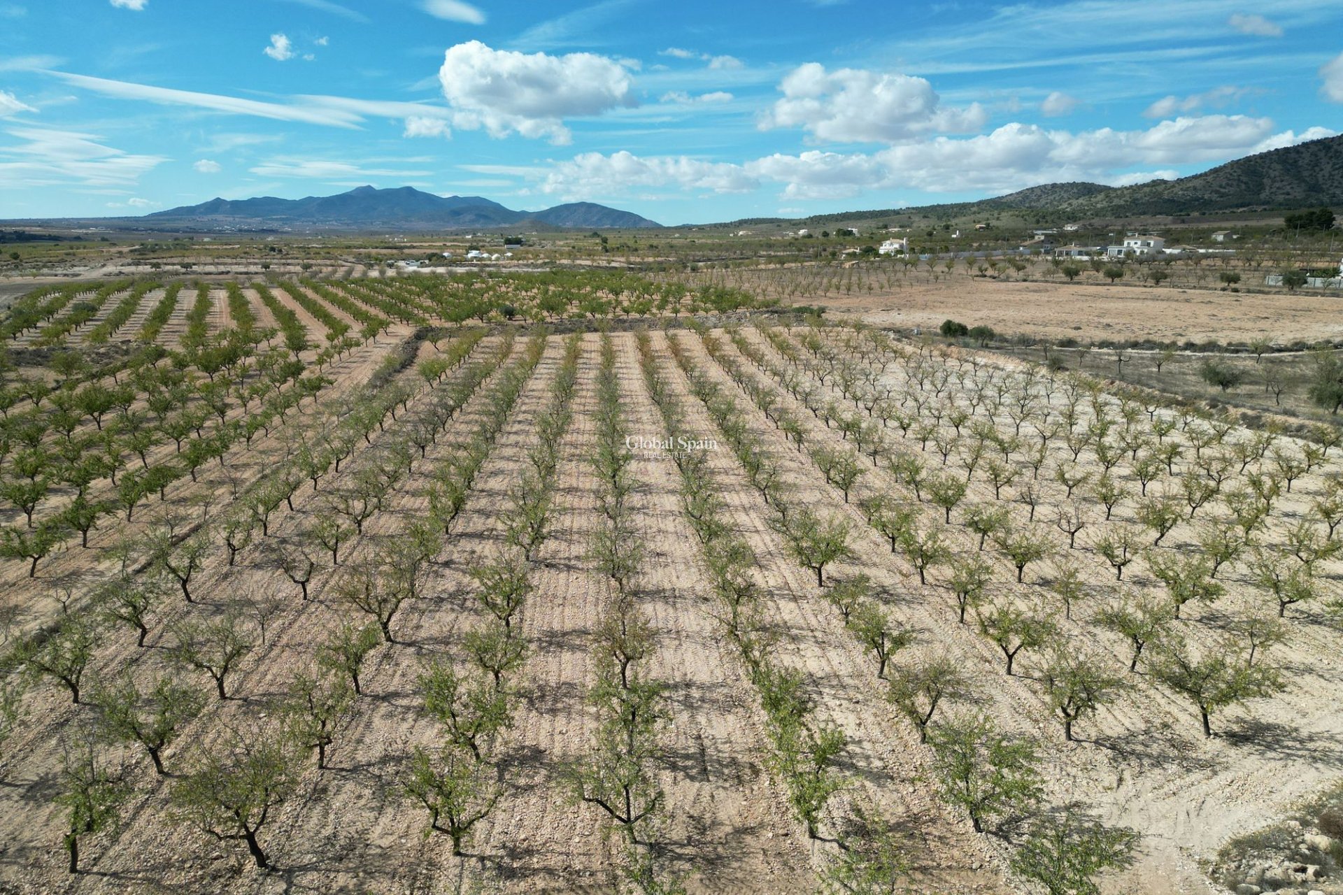 Wiederverkauf - Grond -
Pinoso