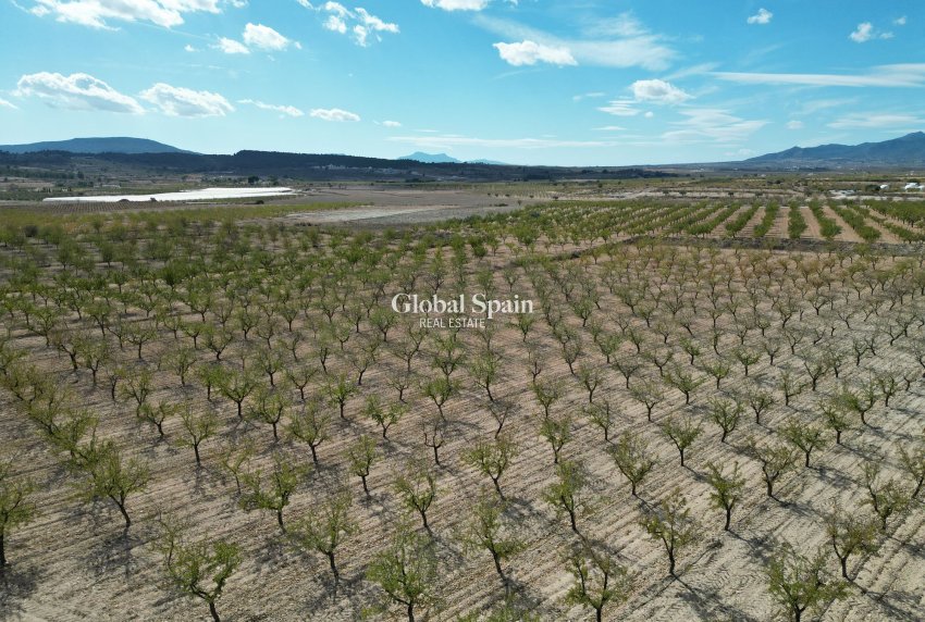 Wiederverkauf - Grond -
Pinoso