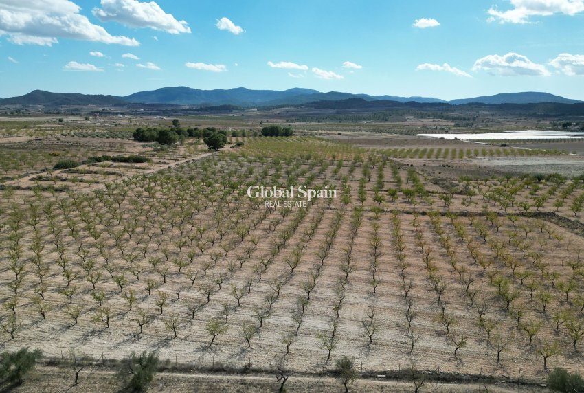 Wiederverkauf - Grond -
Pinoso