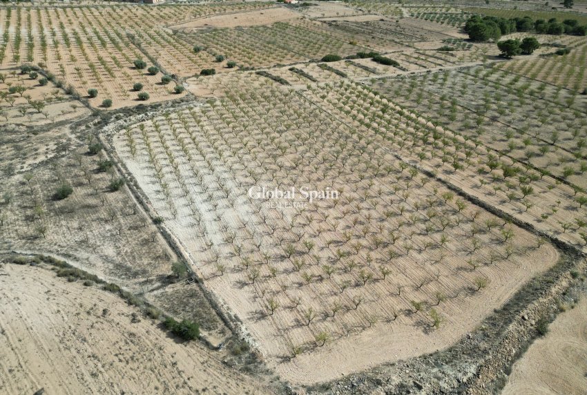 Wiederverkauf - Grond -
Pinoso