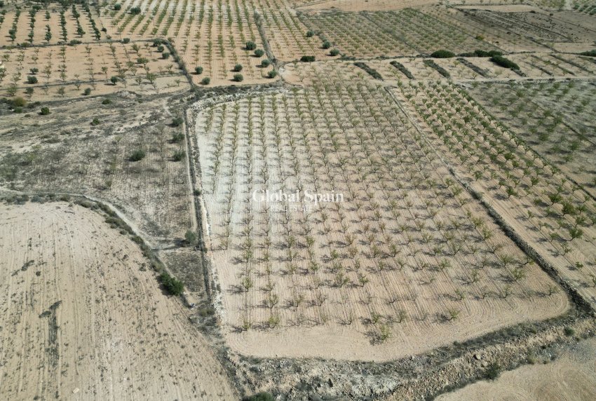 Wiederverkauf - Grond -
Pinoso