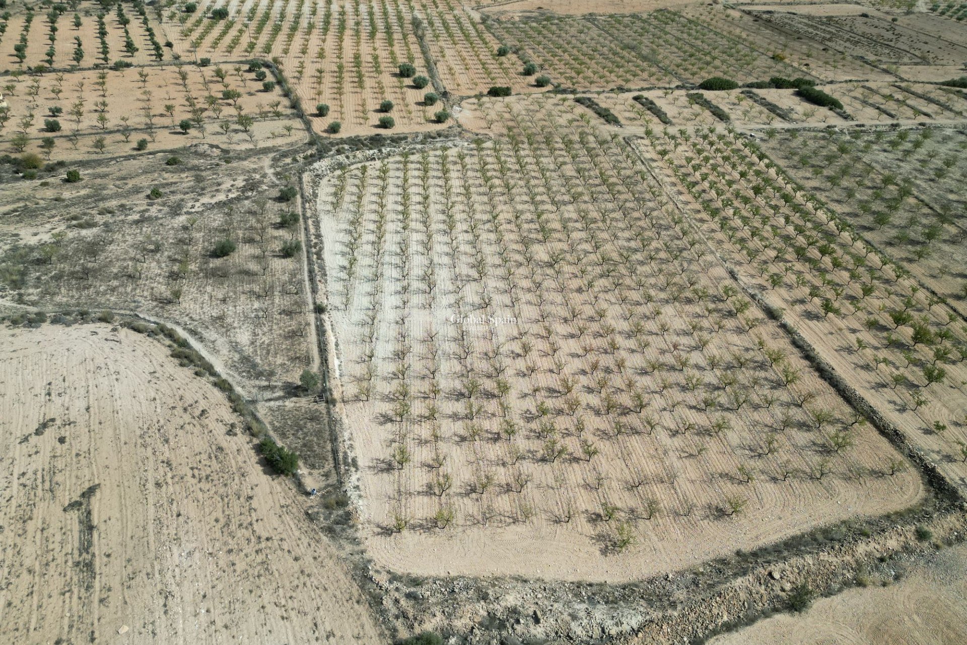 Wiederverkauf - Grond -
Pinoso