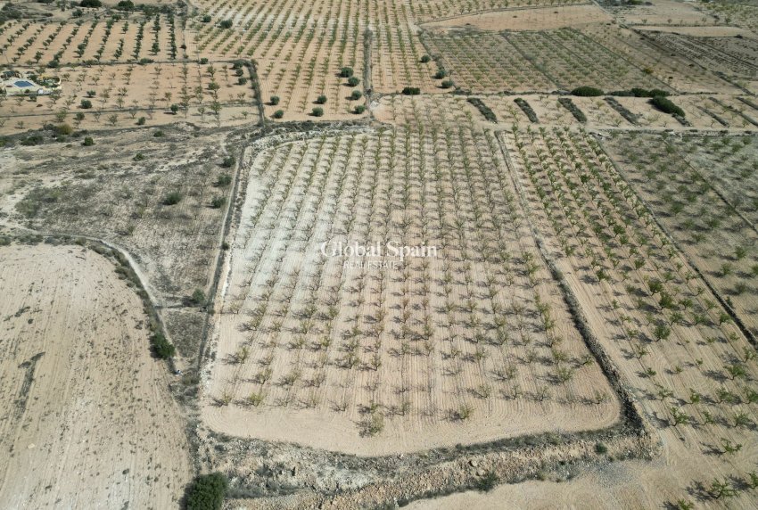 Wiederverkauf - Grond -
Pinoso