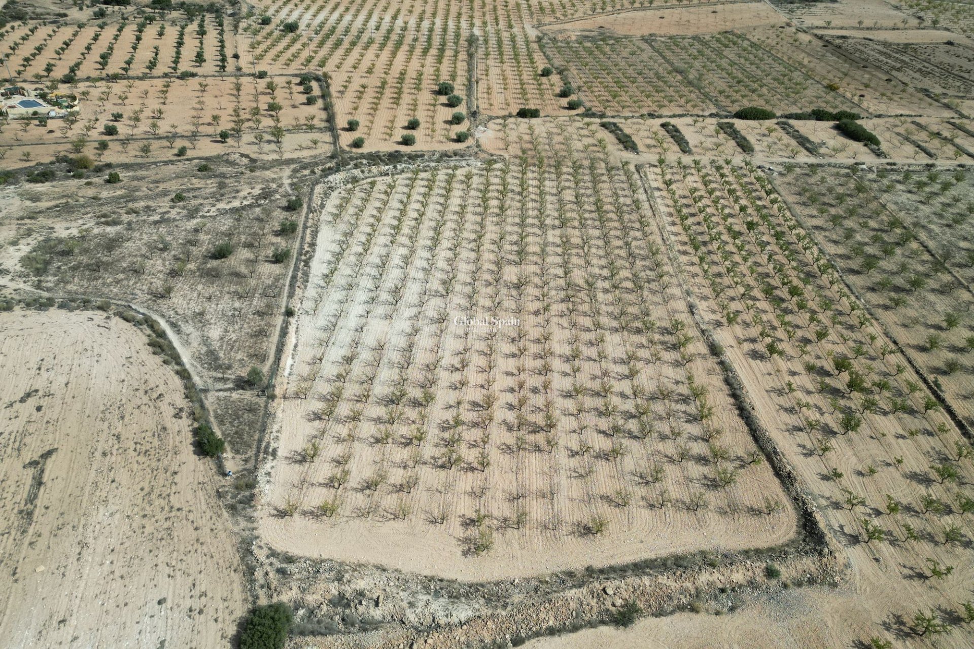 Wiederverkauf - Grond -
Pinoso