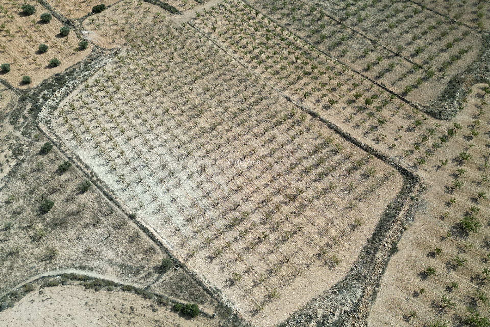 Wiederverkauf - Grond -
Pinoso