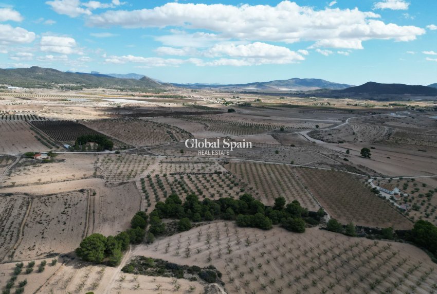 Wiederverkauf - Grond -
Pinoso