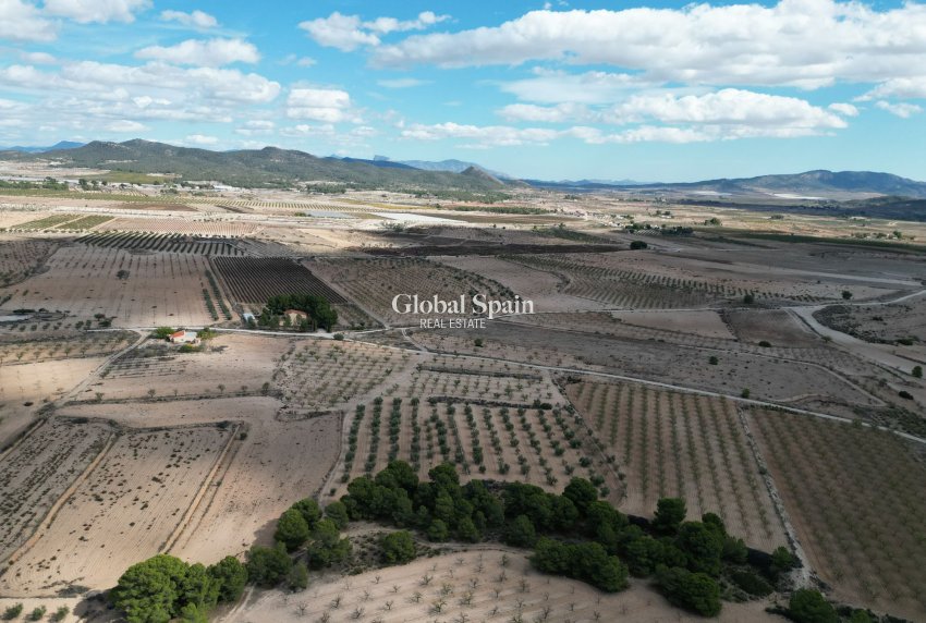 Wiederverkauf - Grond -
Pinoso