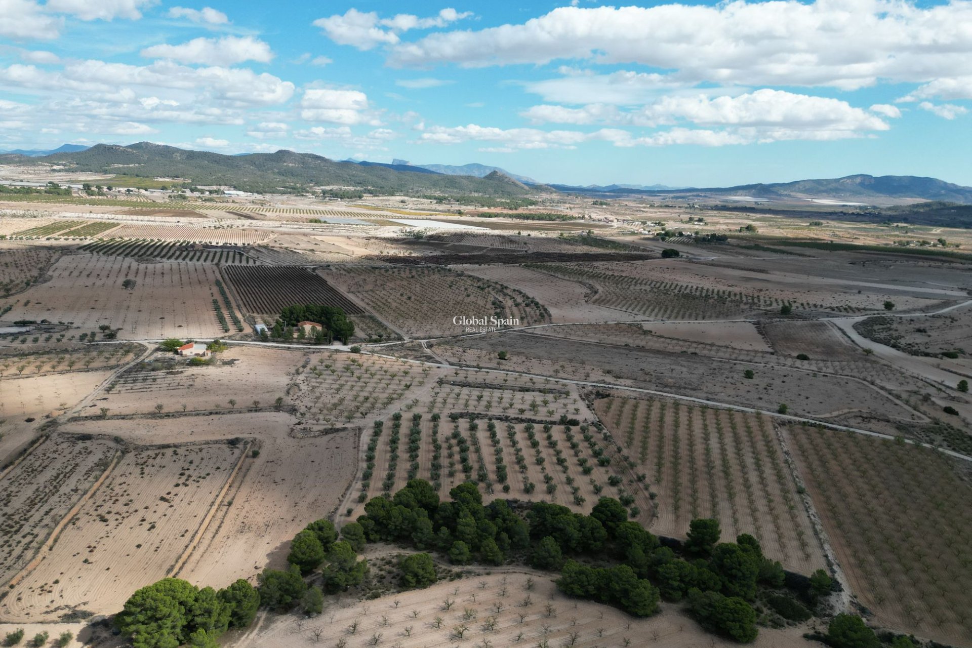 Wiederverkauf - Grond -
Pinoso