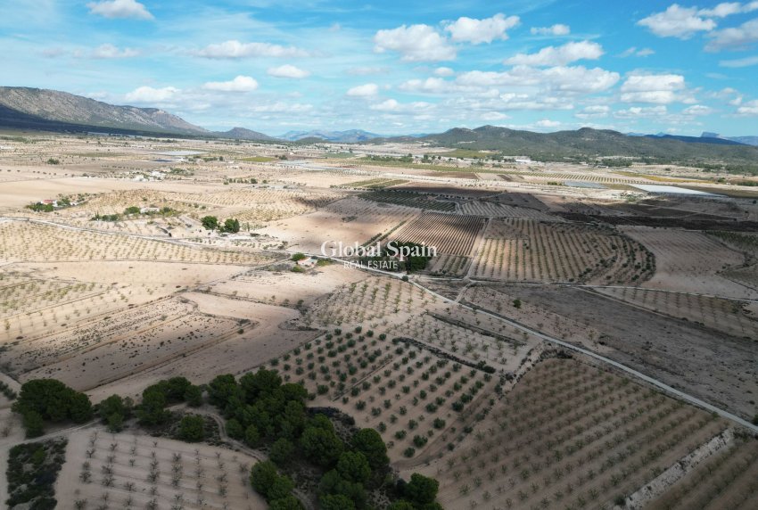 Wiederverkauf - Grond -
Pinoso