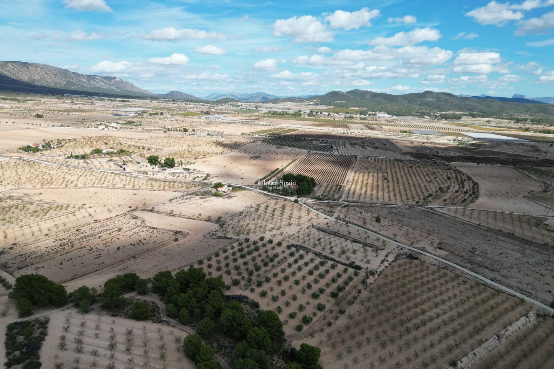 Wiederverkauf - Grond -
Pinoso