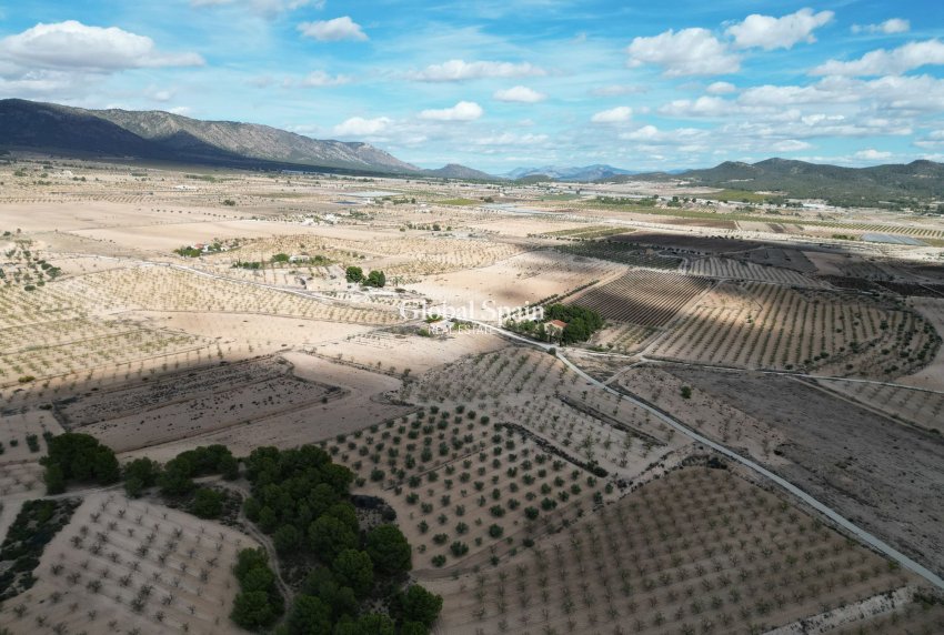 Wiederverkauf - Grond -
Pinoso