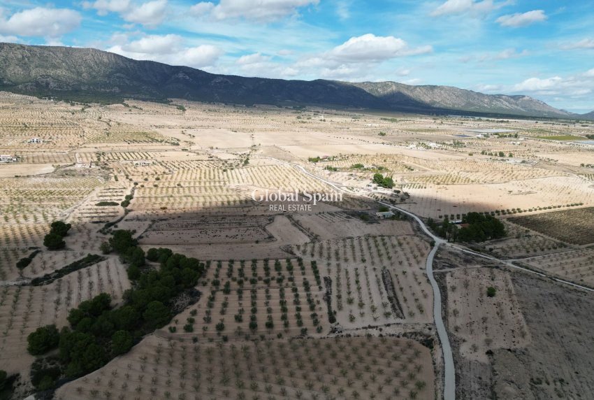 Wiederverkauf - Grond -
Pinoso