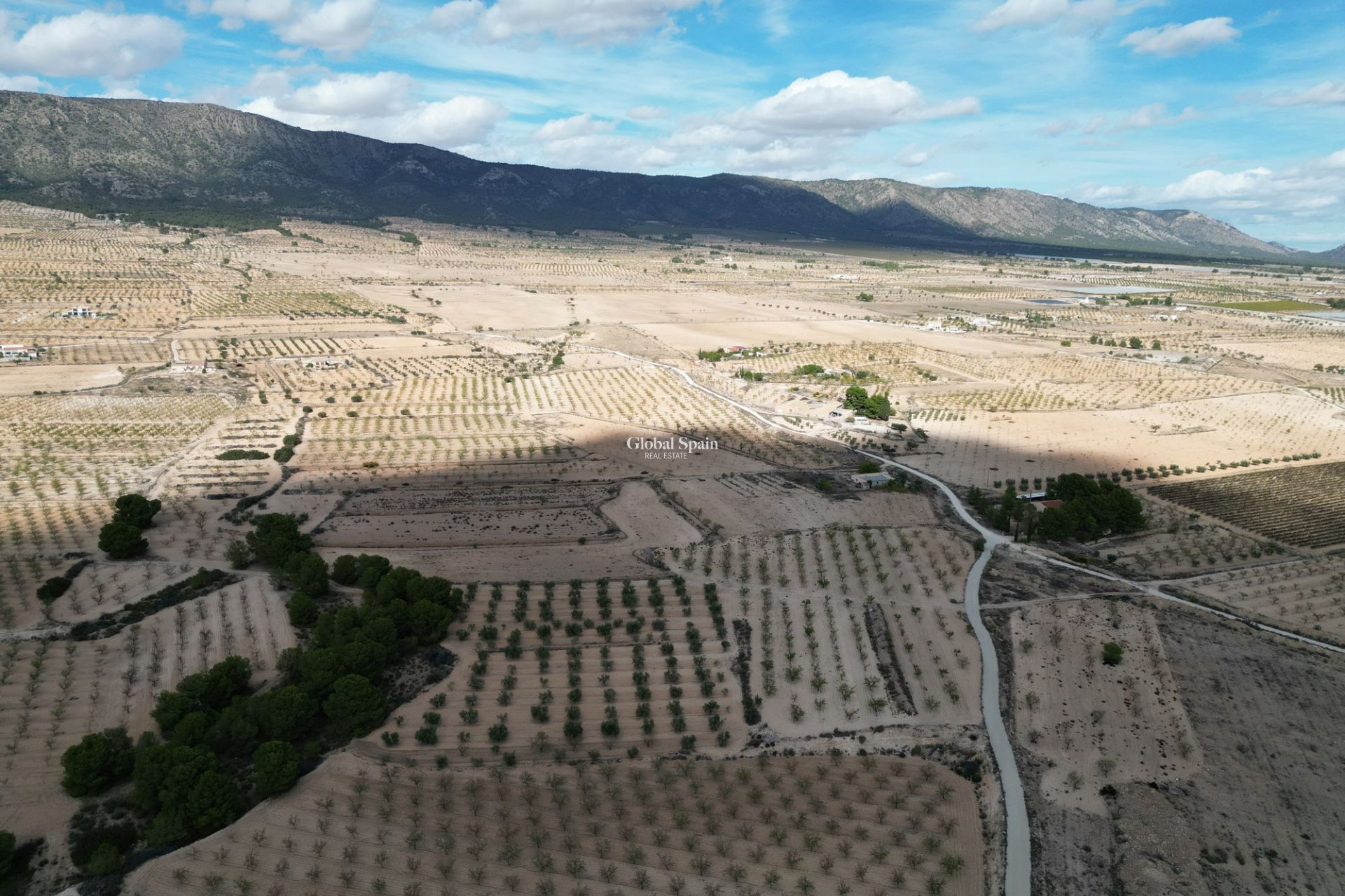 Wiederverkauf - Grond -
Pinoso