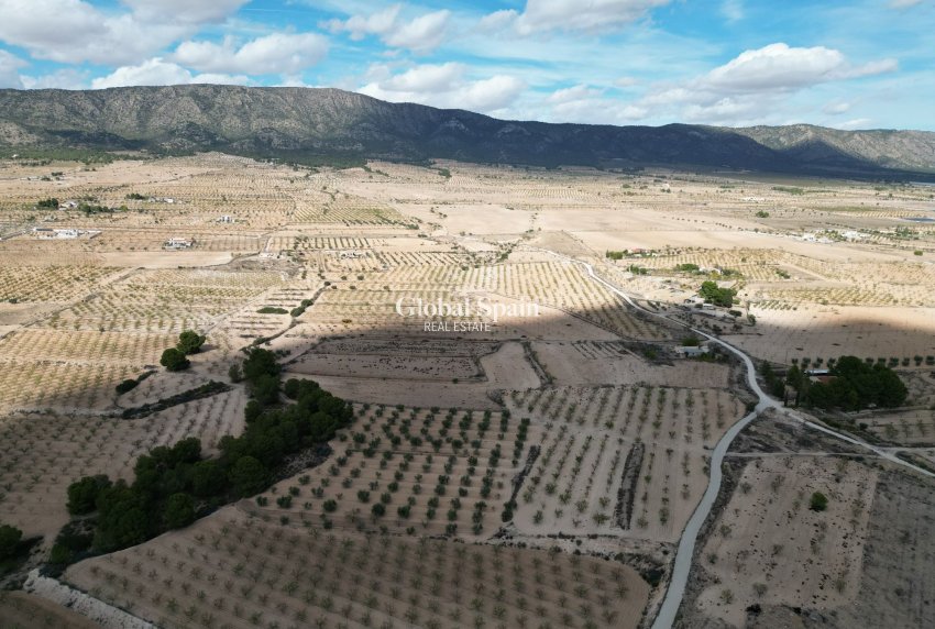 Wiederverkauf - Grond -
Pinoso