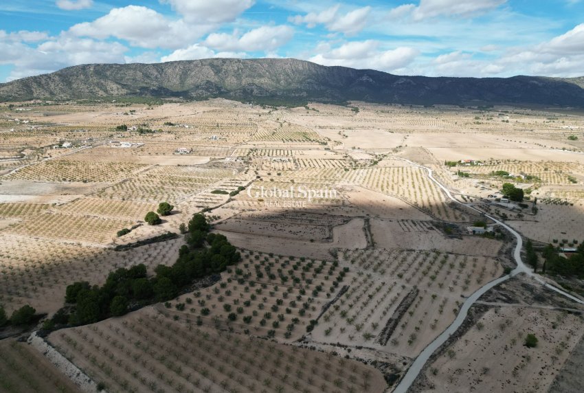 Wiederverkauf - Grond -
Pinoso