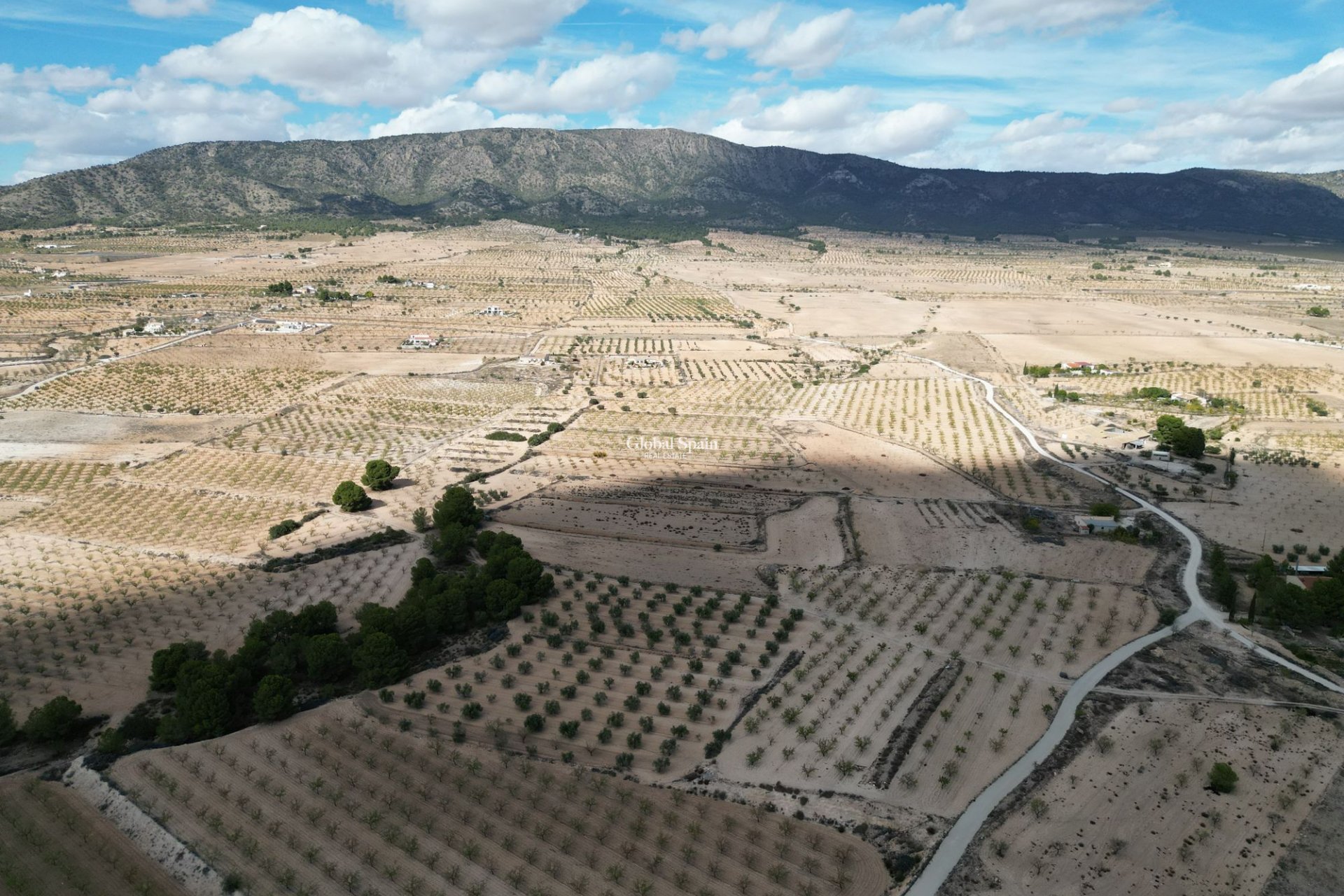 Wiederverkauf - Grond -
Pinoso