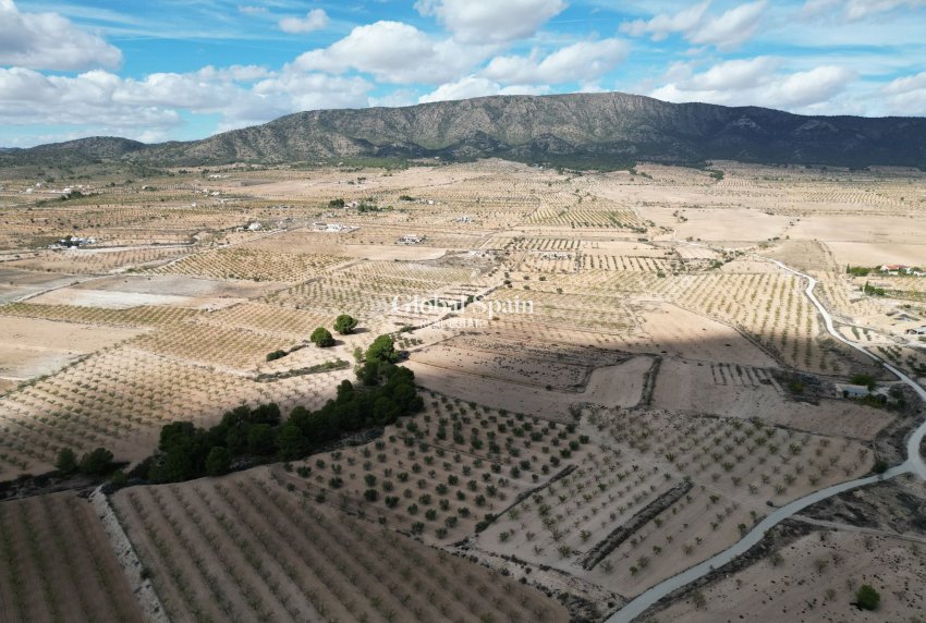 Wiederverkauf - Grond -
Pinoso