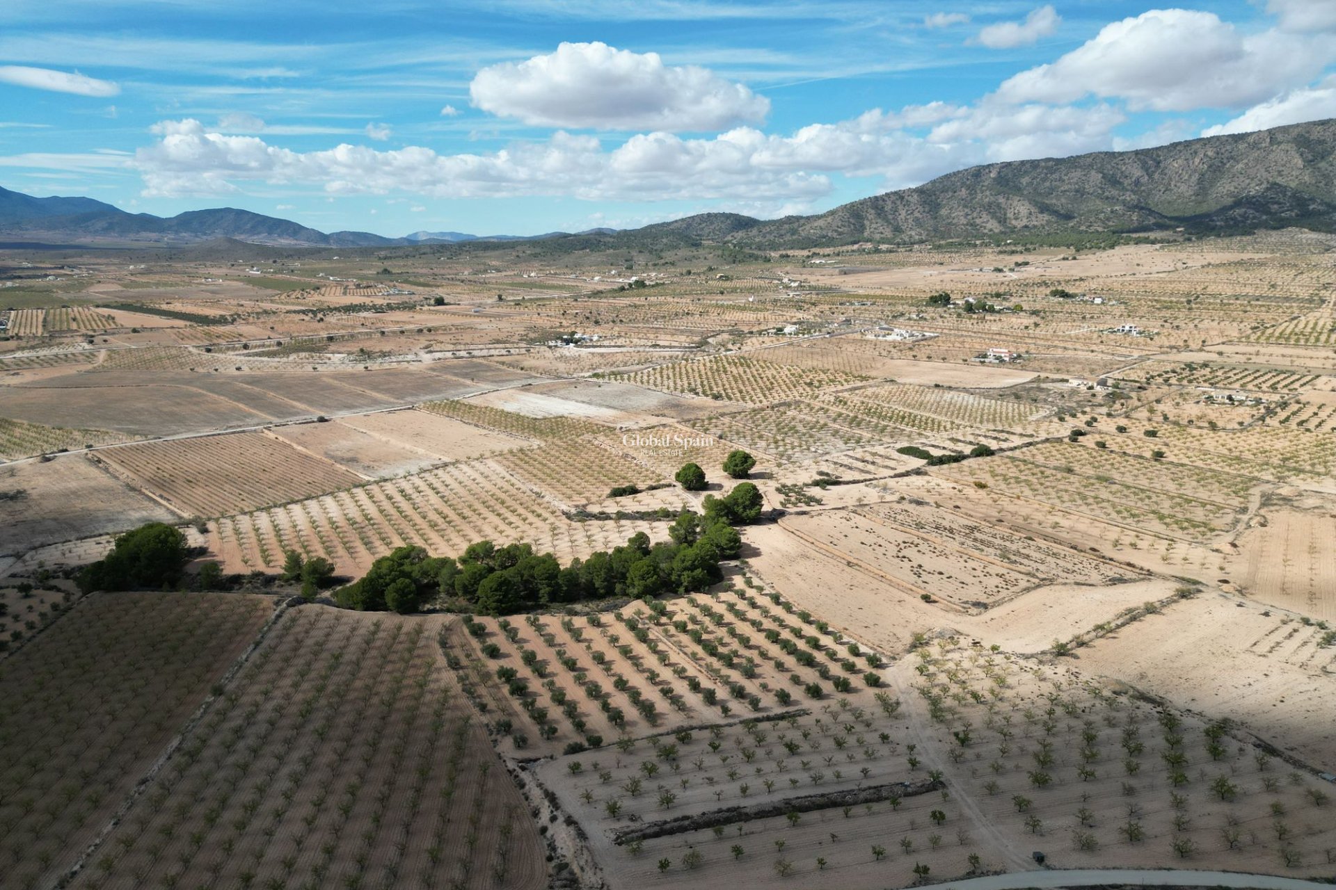 Wiederverkauf - Grond -
Pinoso