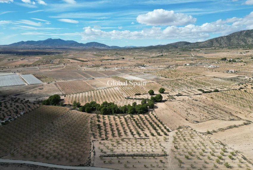 Wiederverkauf - Grond -
Pinoso