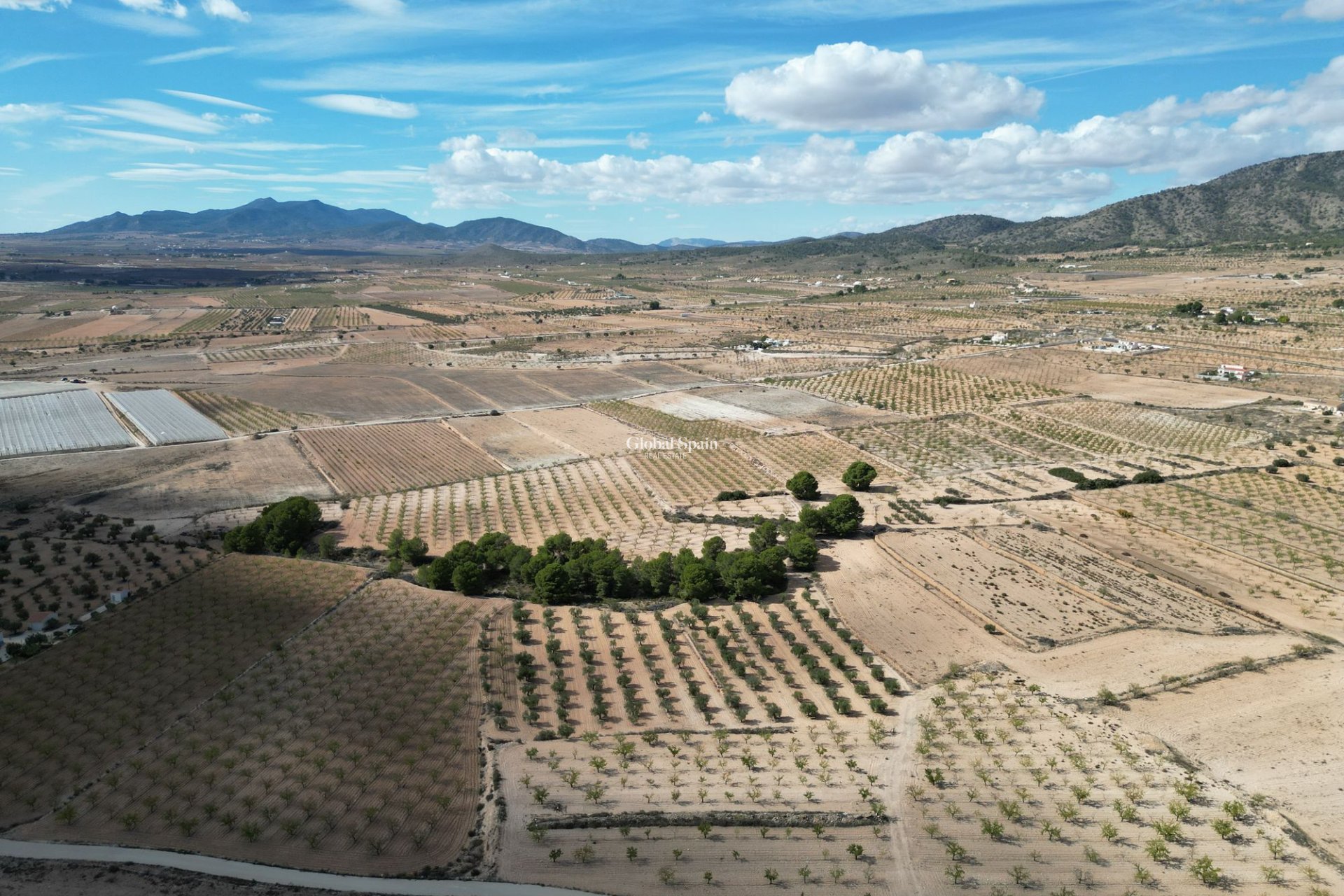 Wiederverkauf - Grond -
Pinoso