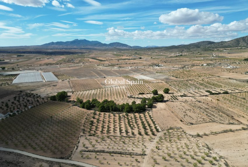 Wiederverkauf - Grond -
Pinoso