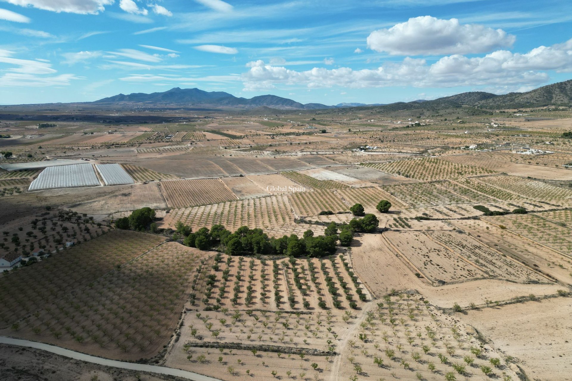 Wiederverkauf - Grond -
Pinoso