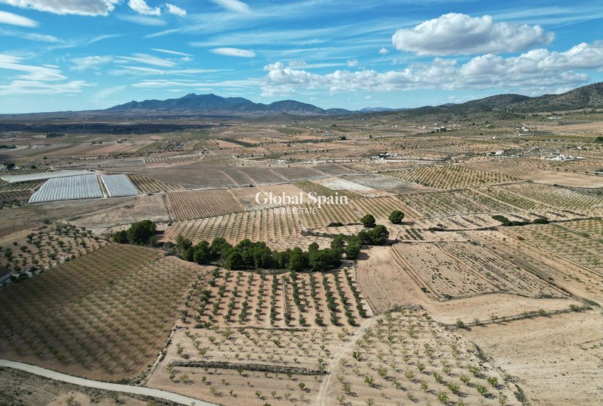 Wiederverkauf - Grond -
Pinoso