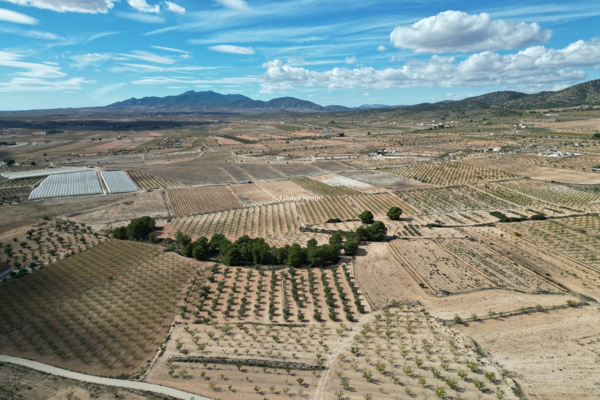 Wiederverkauf - Grond -
Pinoso