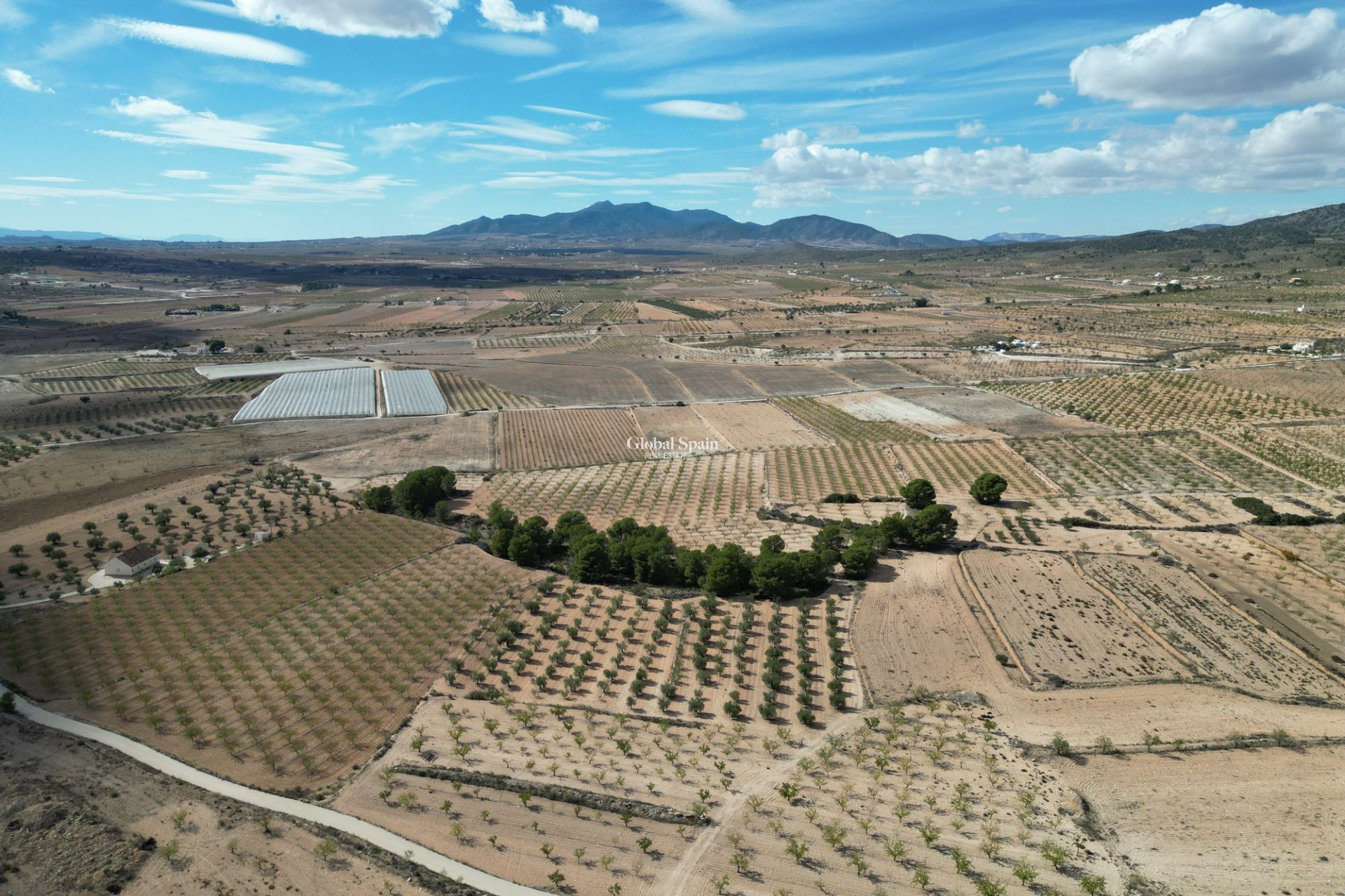Wiederverkauf - Grond -
Pinoso