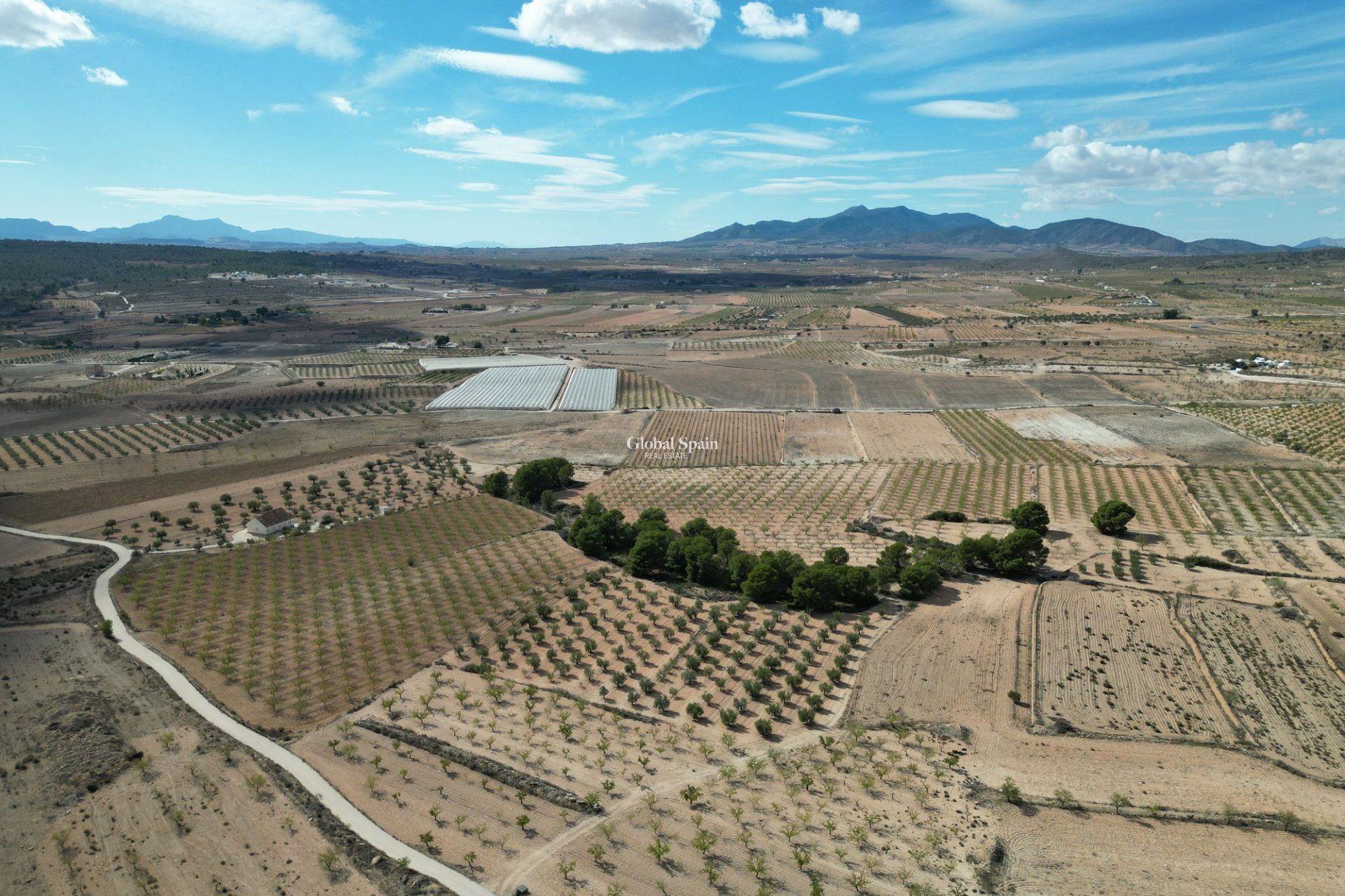 Wiederverkauf - Grond -
Pinoso