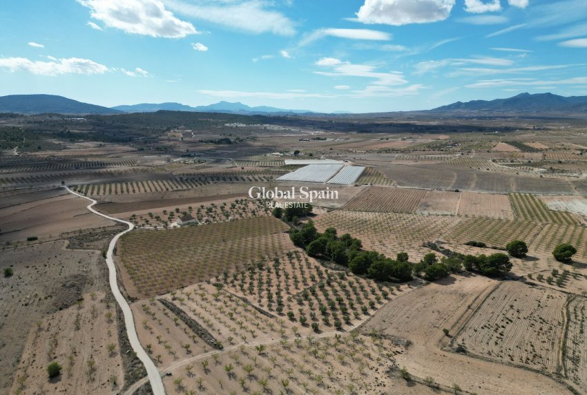 Wiederverkauf - Grond -
Pinoso