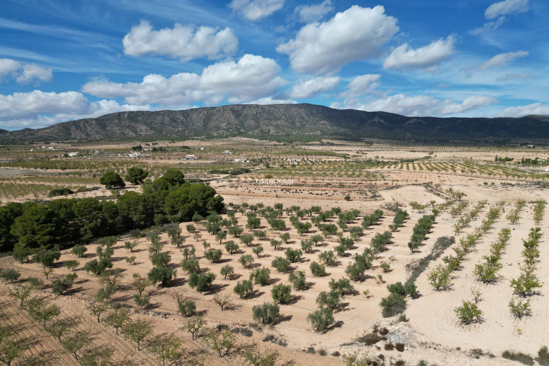 Wiederverkauf - Grond -
Pinoso