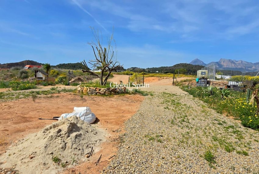 Wiederverkauf - GRUNDSTÜCK -
ALTEA - Olla Altea