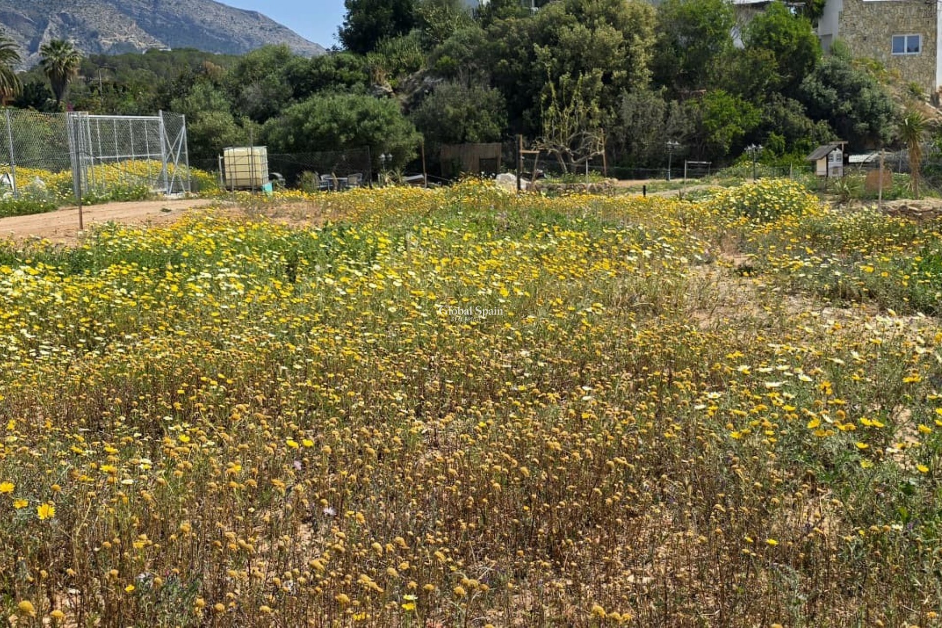Wiederverkauf - GRUNDSTÜCK -
ALTEA - Olla Altea
