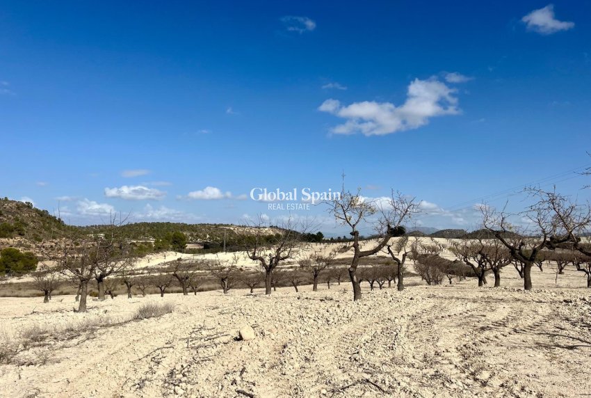 Wiederverkauf - Grundstück -
Bullas - Costa Calida