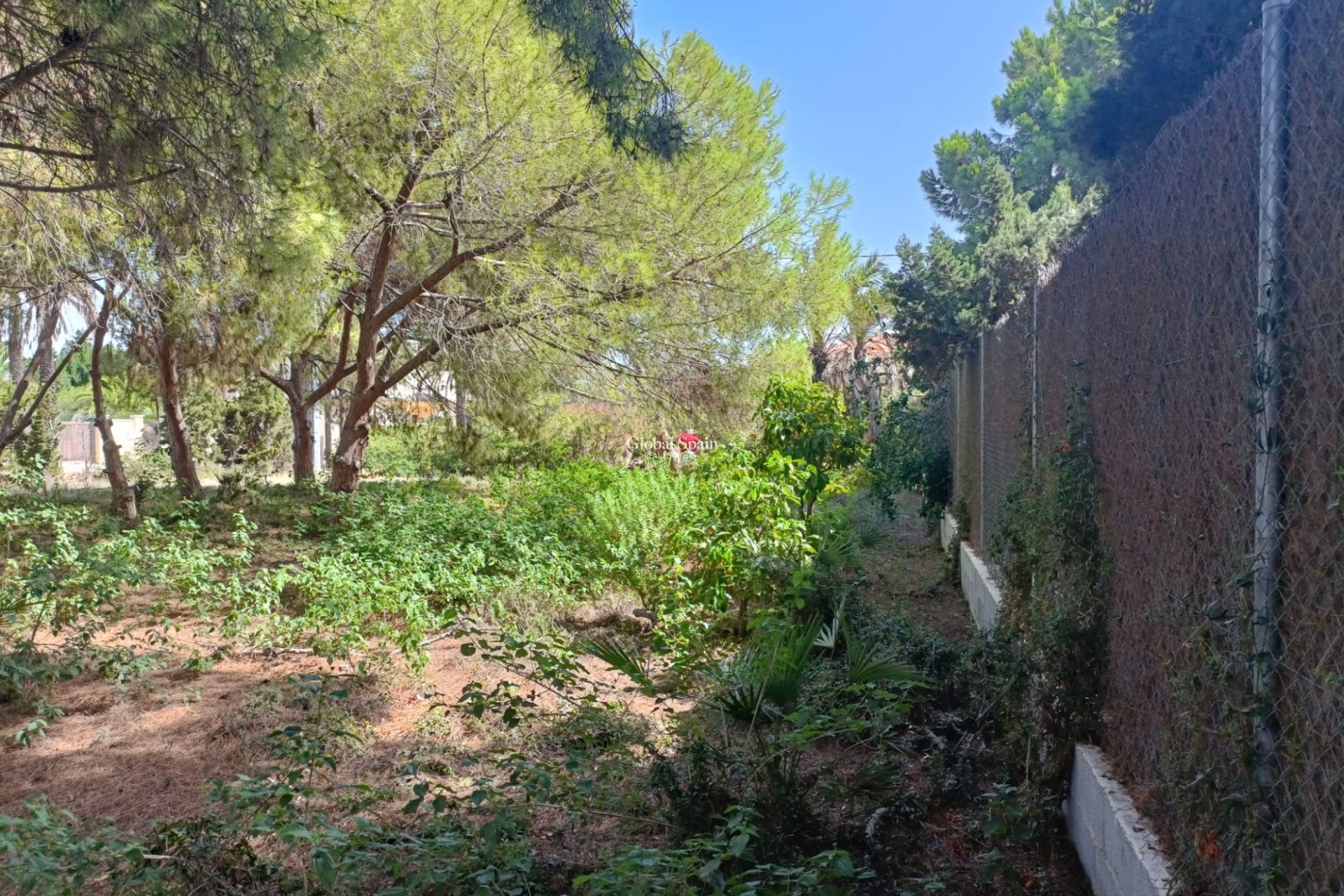 Wiederverkauf - GRUNDSTÜCK -
CABO ROIG - Costa Blanca