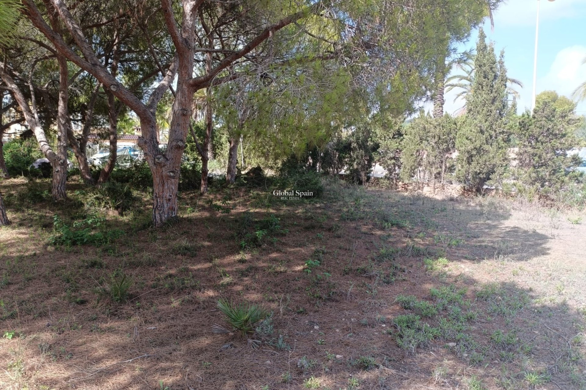 Wiederverkauf - GRUNDSTÜCK -
CABO ROIG - Costa Blanca