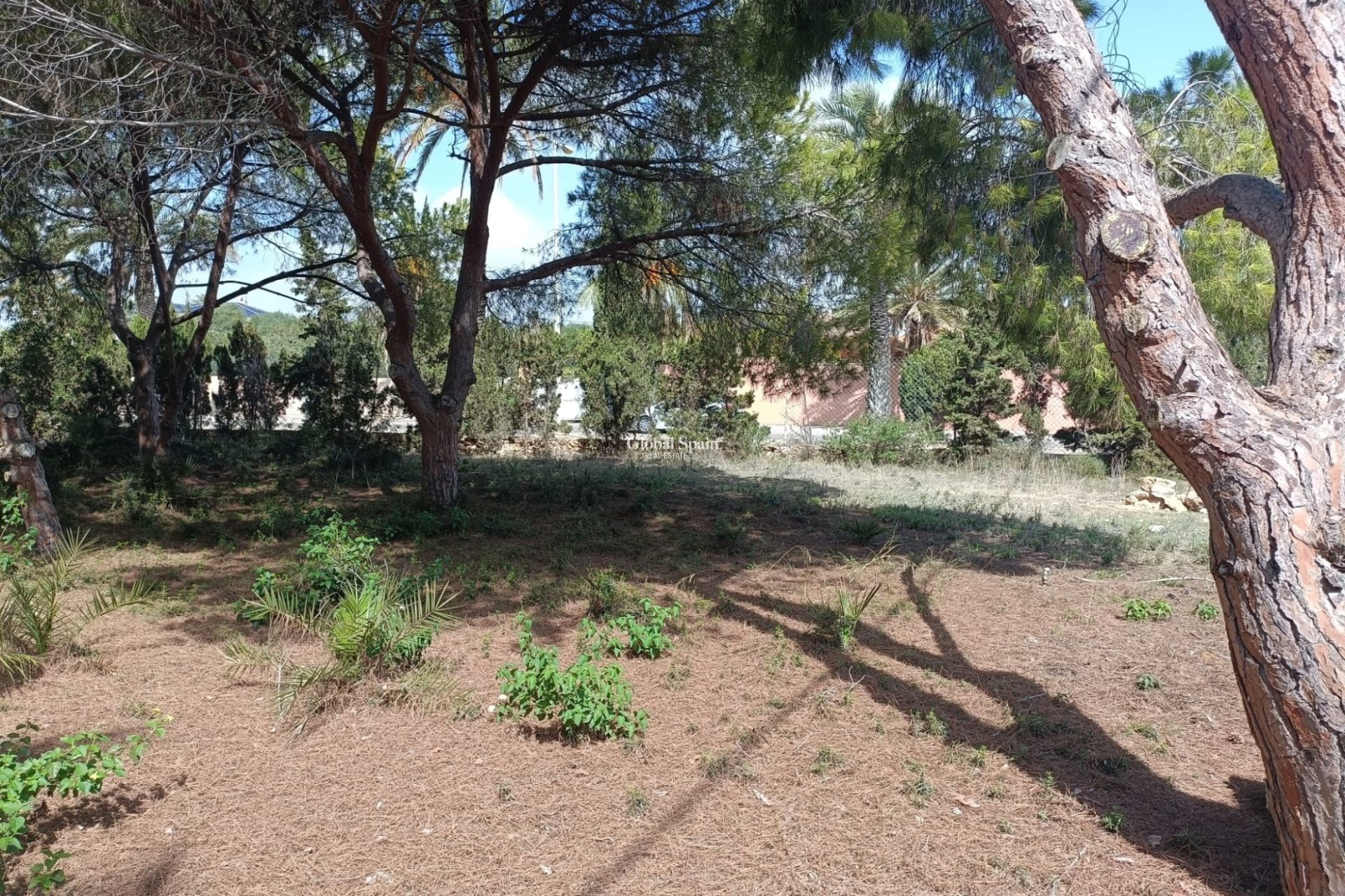 Wiederverkauf - GRUNDSTÜCK -
CABO ROIG