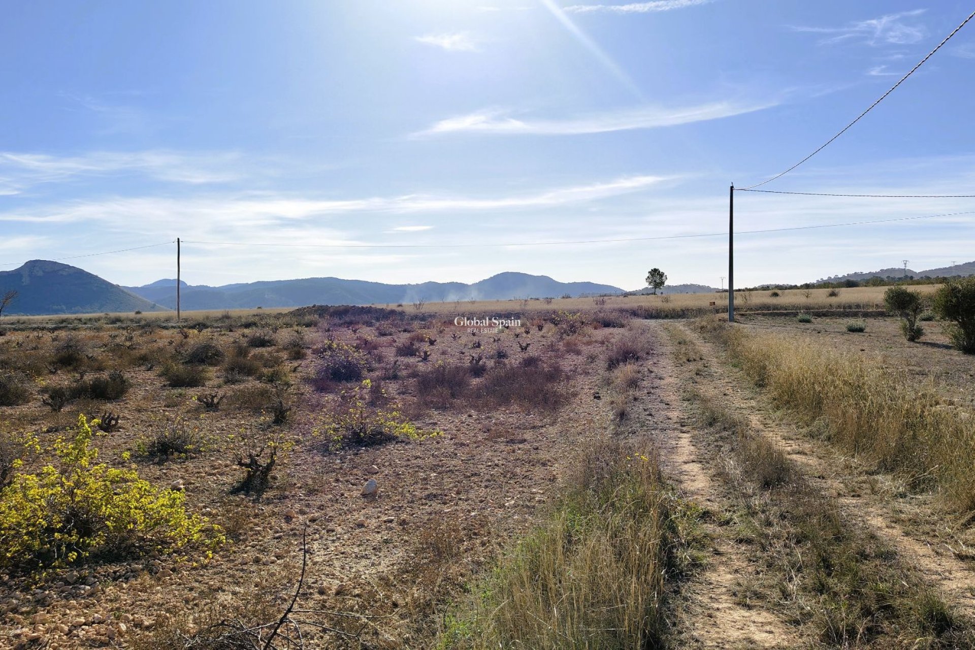 Wiederverkauf - GRUNDSTÜCK -
CAÑADA DEL TRIGO - Inland