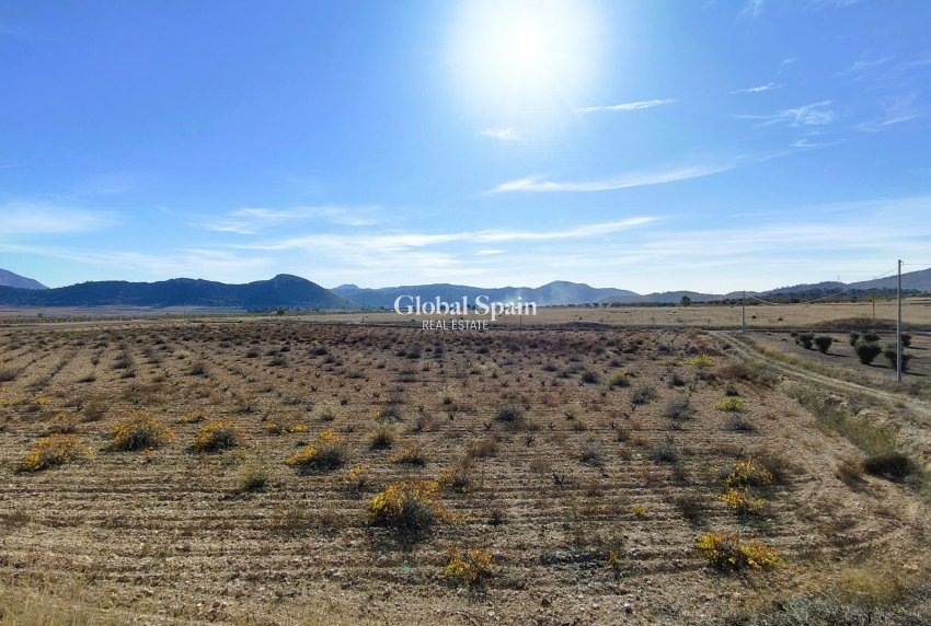 Wiederverkauf - GRUNDSTÜCK -
CAÑADA DEL TRIGO - Inland