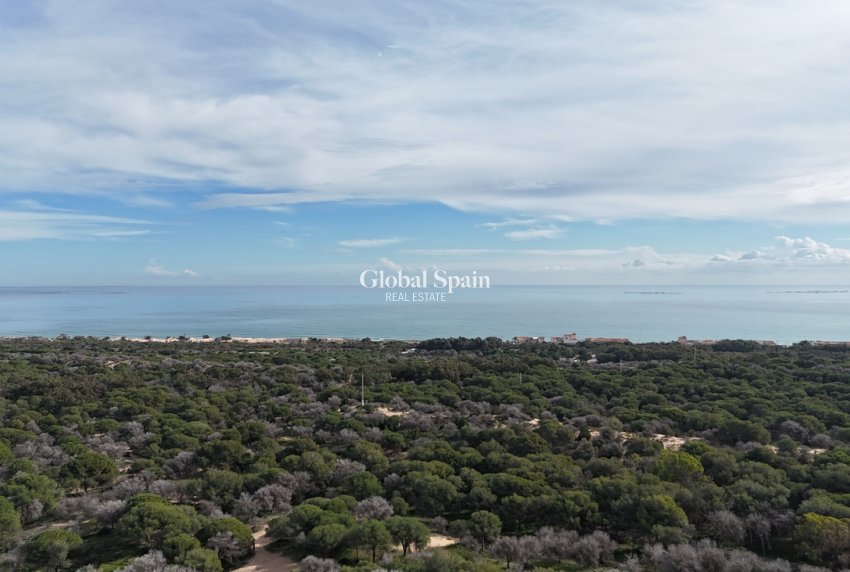 Wiederverkauf - GRUNDSTÜCK -
GUARDAMAR DEL SEGURA - Costa Blanca