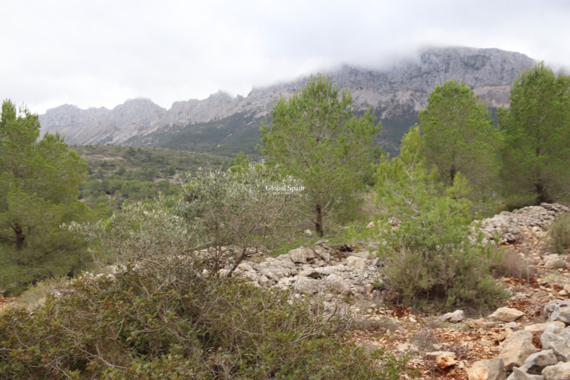Wiederverkauf - GRUNDSTÜCK -
JALÓN - Inland