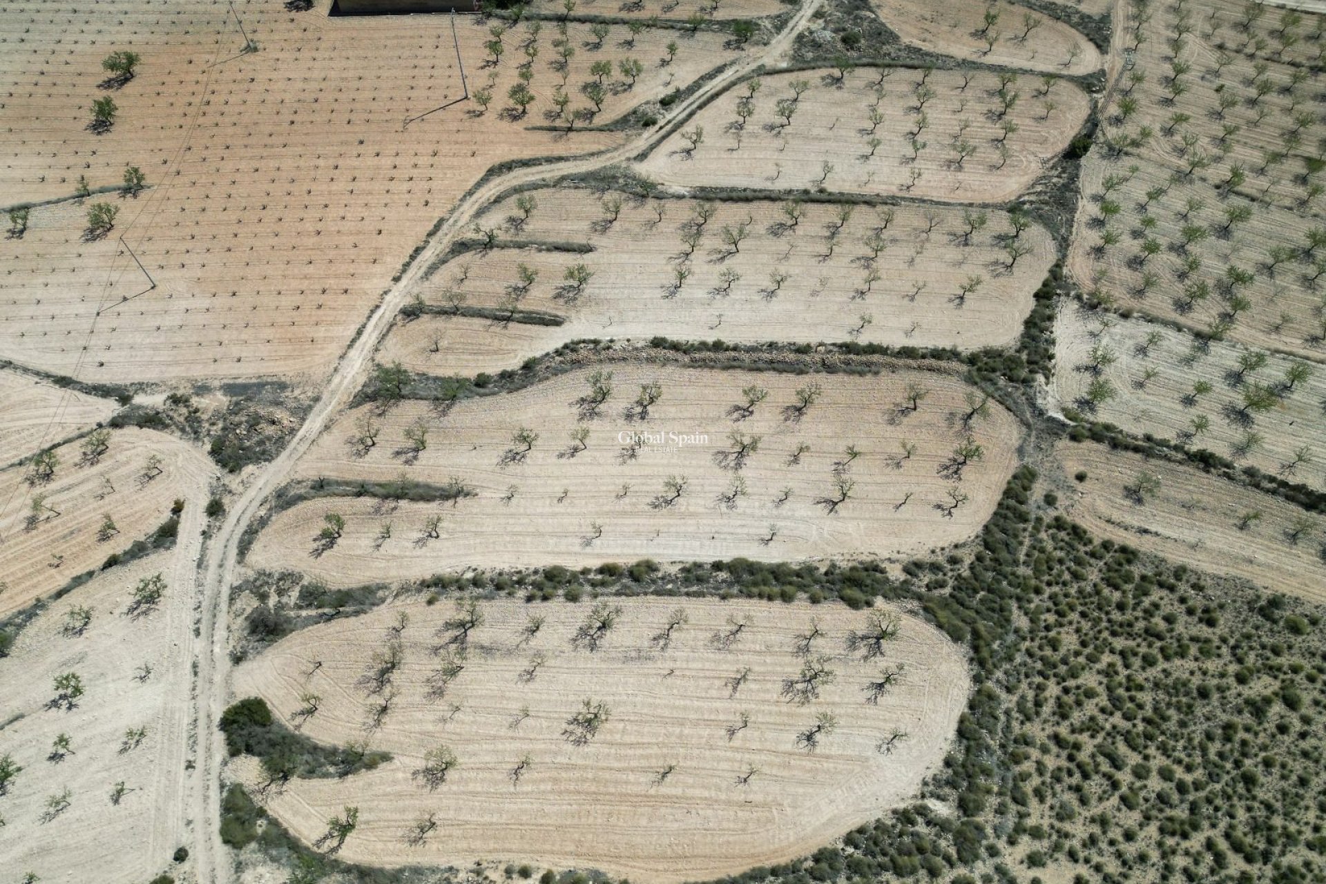 Wiederverkauf - GRUNDSTÜCK -
LA ALBERQUILLA - La Alberquila