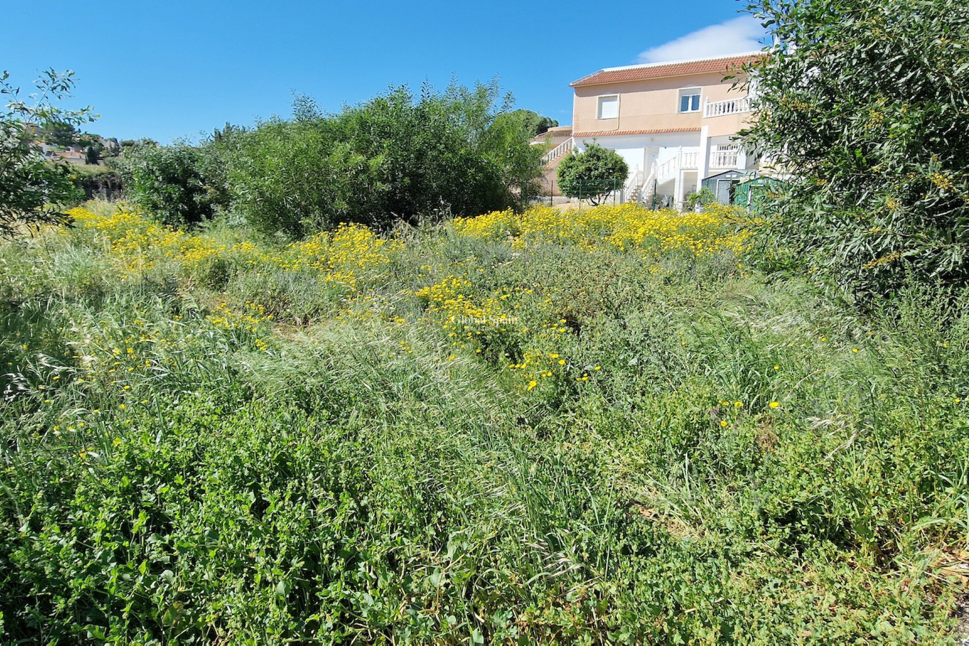 Wiederverkauf - GRUNDSTÜCK -
LOS BALCONES - LOS ALTOS - Costa Blanca