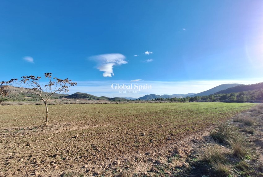 Wiederverkauf - GRUNDSTÜCK -
MONÓVAR - Monovar