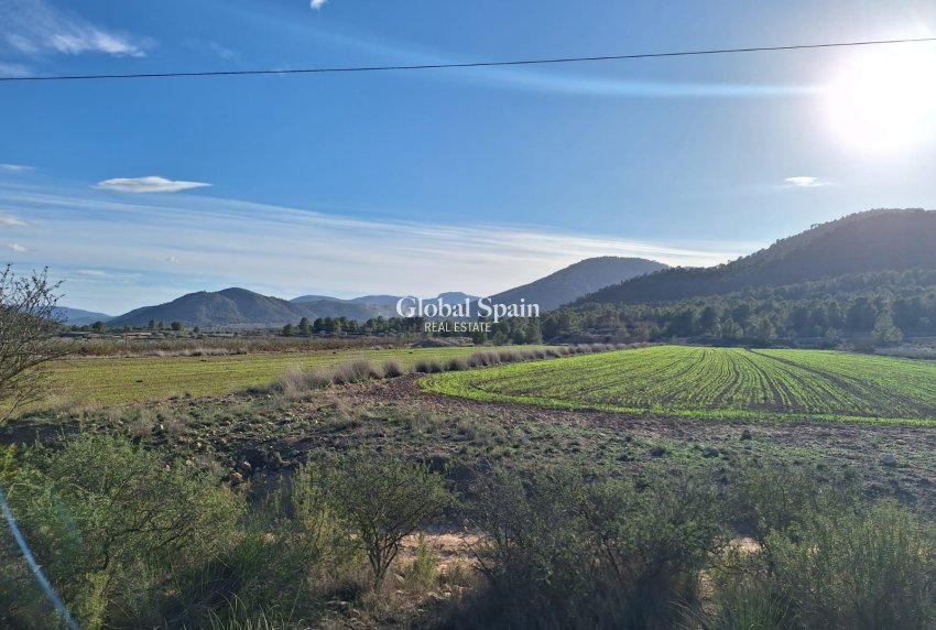 Wiederverkauf - GRUNDSTÜCK -
MONÓVAR - Monovar