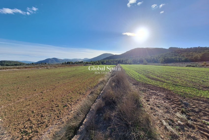 Wiederverkauf - GRUNDSTÜCK -
MONÓVAR - Monovar