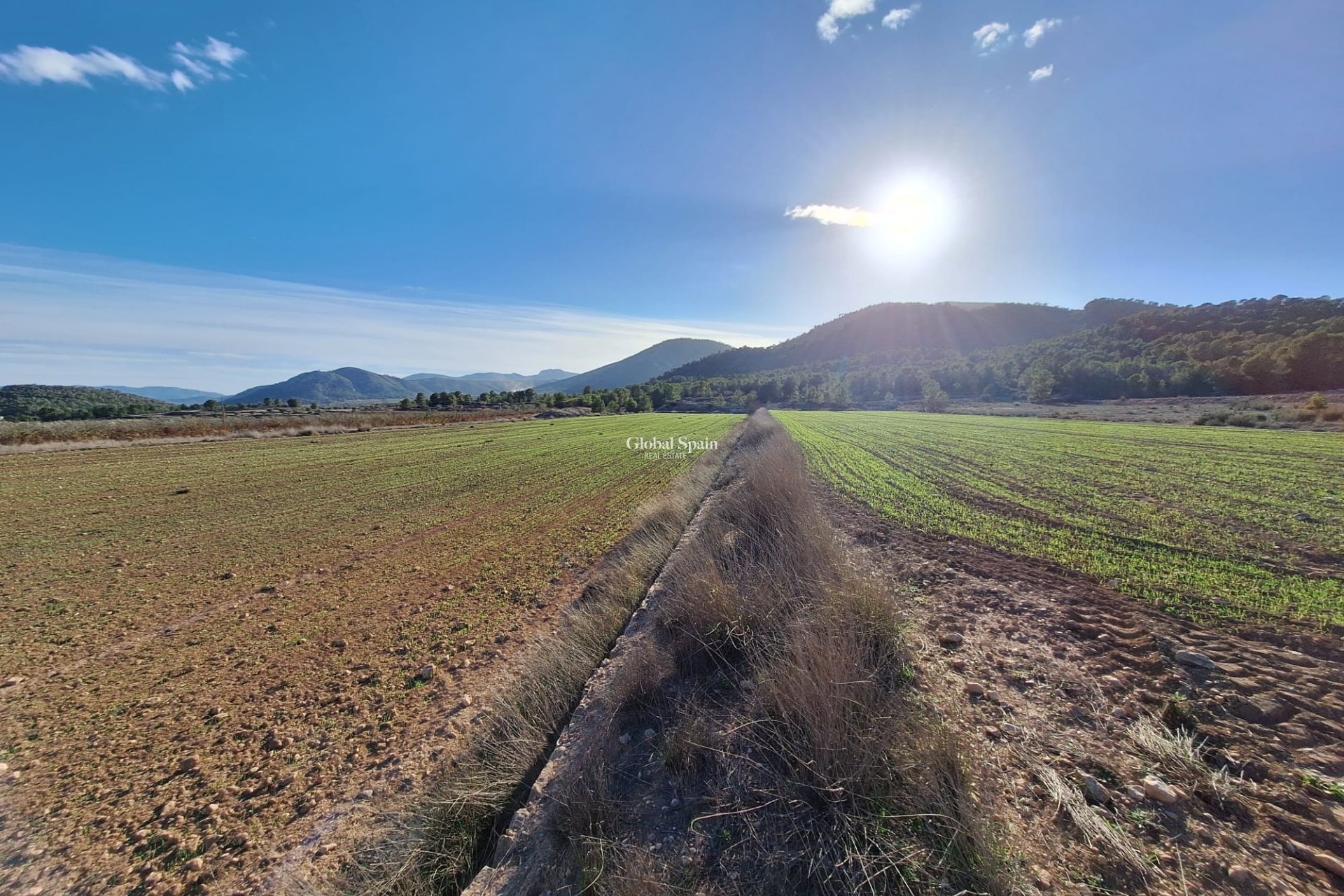 Wiederverkauf - GRUNDSTÜCK -
MONÓVAR - Monovar